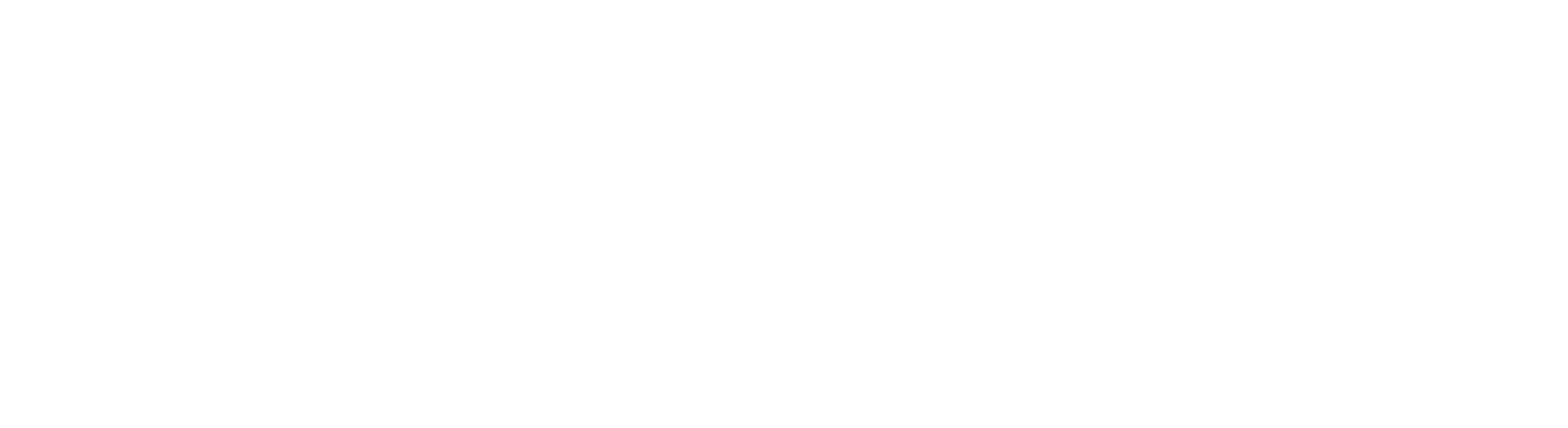 iNeuron.ai logo
