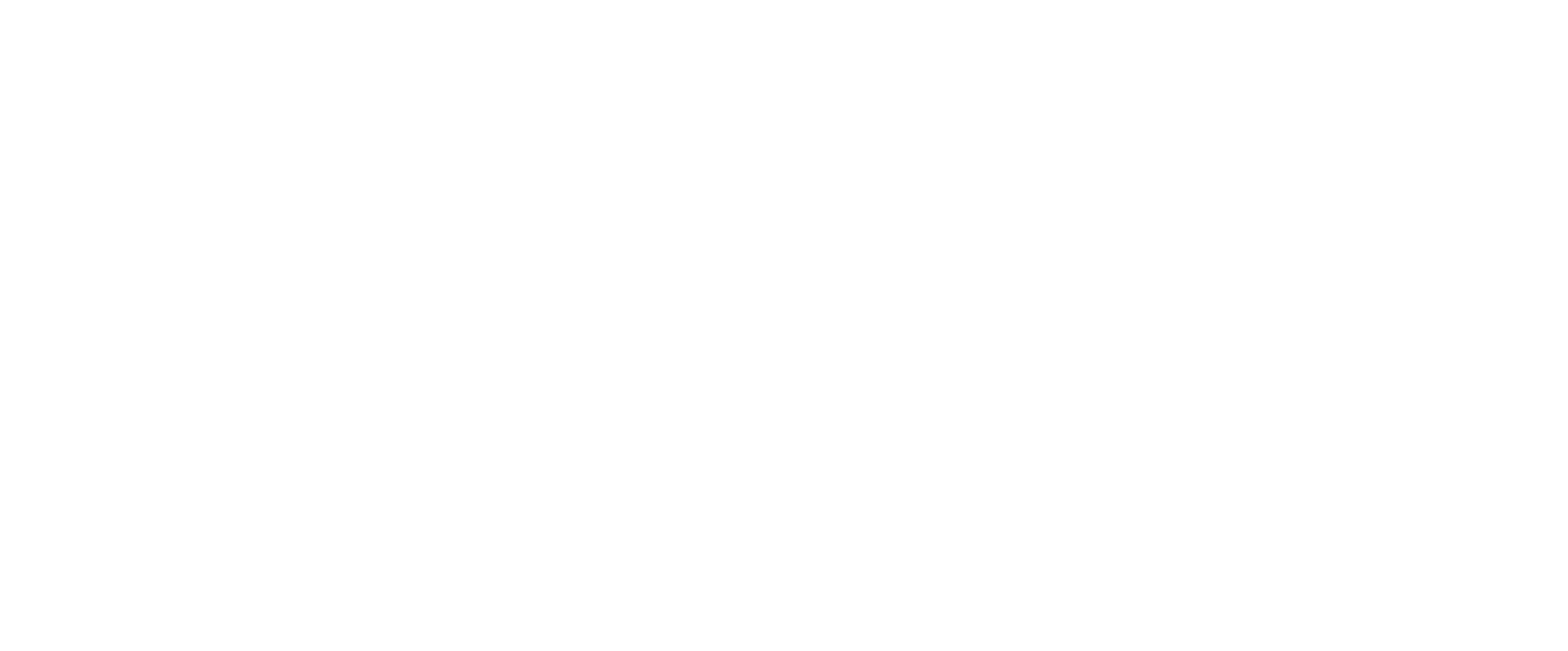 Zapvi logo